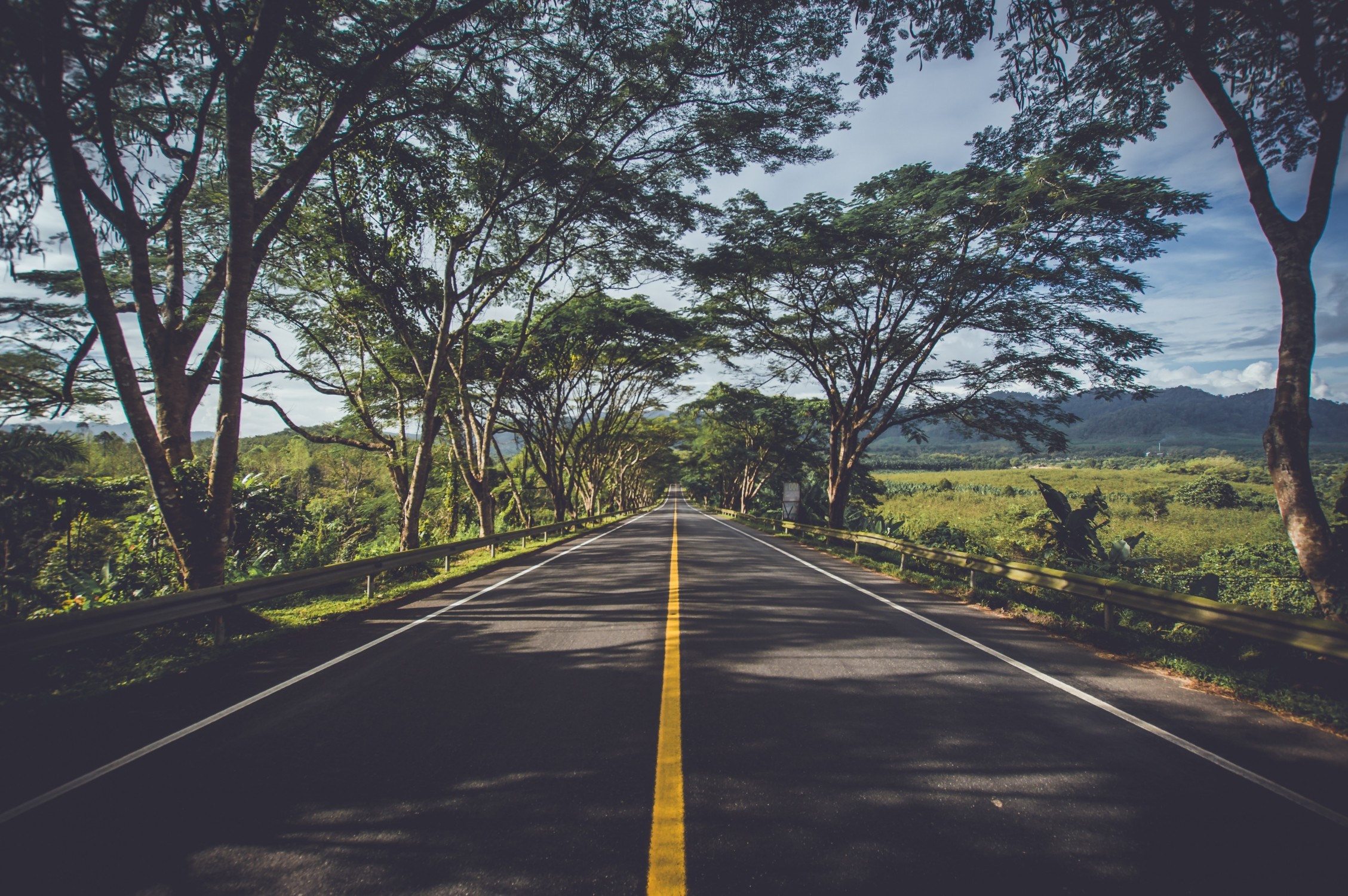 Serviço Aluguer de Automóveis